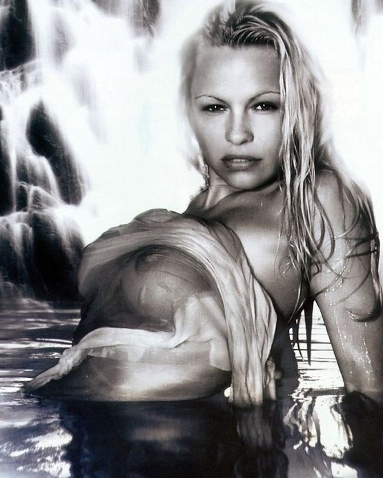 Pamela Anderson Desnuda. Foto - 26