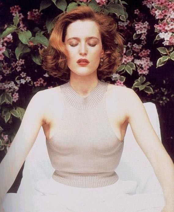 Gillian Anderson Desnuda. Foto - 55