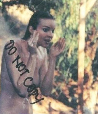Marcia Cross Nackt. Foto - 92